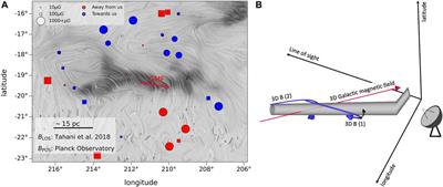 Three-dimensional magnetic fields of molecular clouds